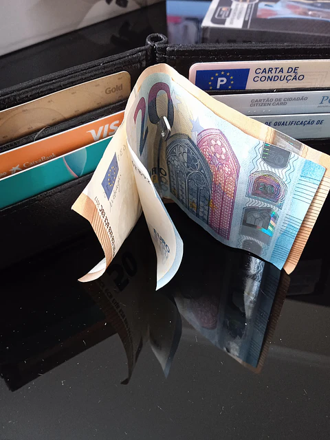 Porta cartões RFDI com porta notas e moedas