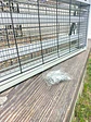 Mata mosca eletrônico 2x3v super poderoso  - Thumbnail 2