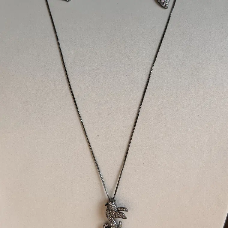 Conjunto Ródio Negro  2