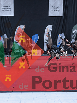 1547_Gym for Life Portugal