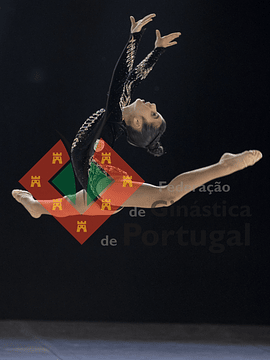 1032_Taça de Portugal GR