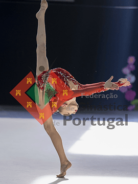 1060_Taça de Portugal GR