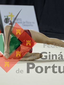 1329_Taça de Portugal GR