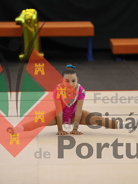 1037_Taça de Portugal AER
