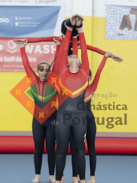 1293_Taça de Portugal TG