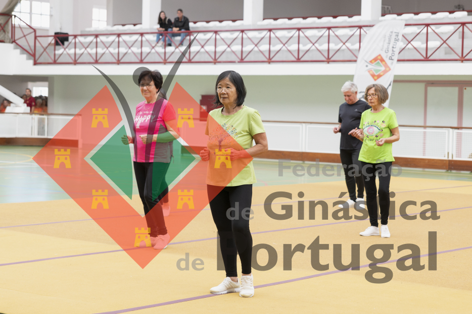 1204_SeniorGym