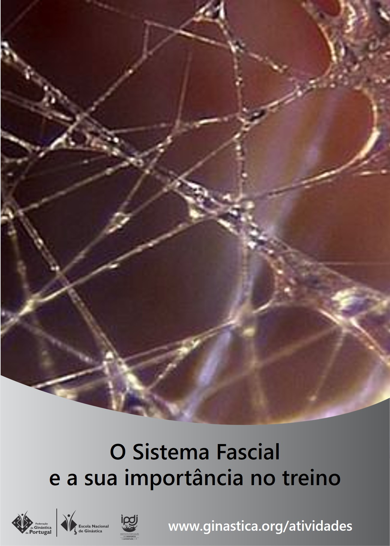 Ação de Formação - O Sistema Fascial e a sua importância no treino