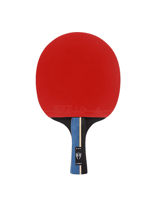 Paleta De Ping Pong Loki 3 Estrellas Con Estuche