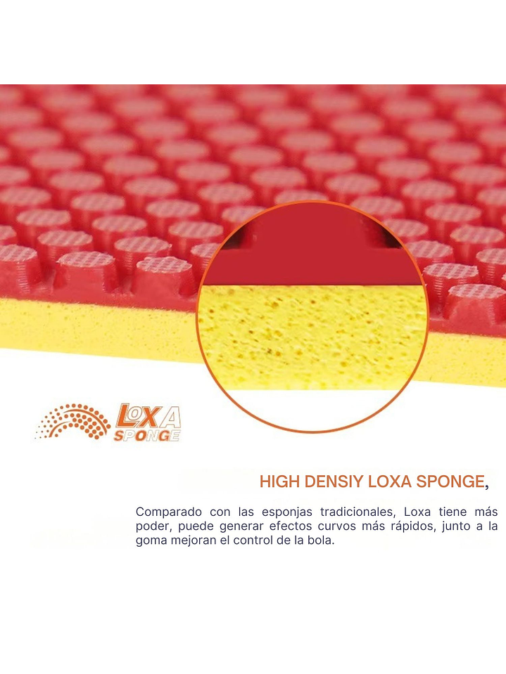 Goma Loki poro corto Kirin SP 3