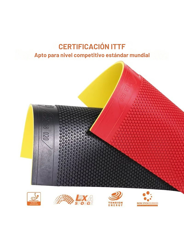 Goma Loki poro corto Kirin SP 5