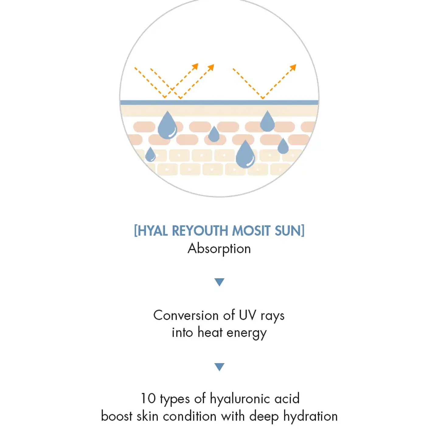 Dr. Ceuracle Bloqueador Solar Hidratante 3
