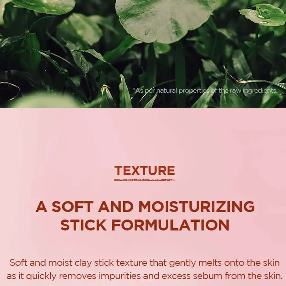 Skin1004 Poremizing Clay Stick Mask 27g 3