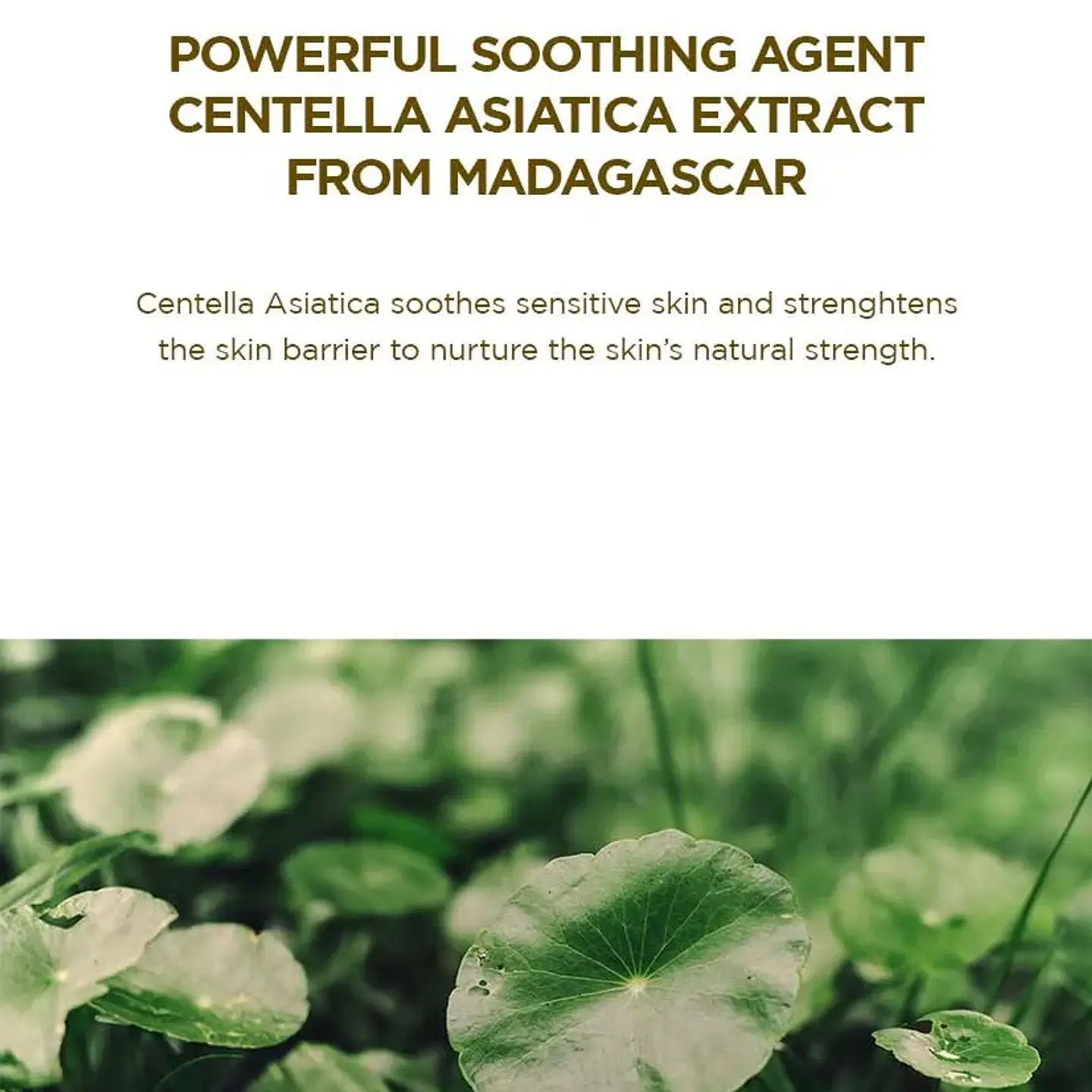 Skin1004 Protector Solar Madagascar Centella Air-Fit Plus 50ml 8