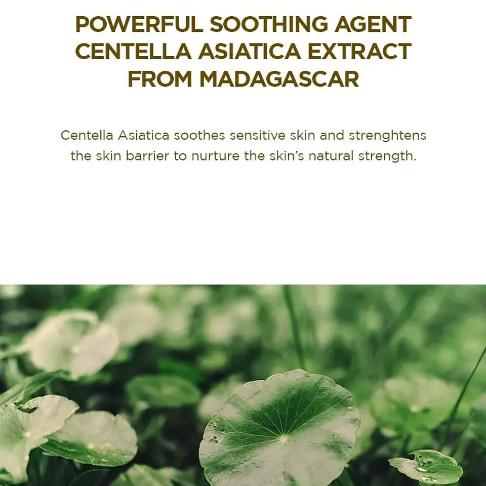 Skin1004 Protector Solar Madagascar Centella Air-Fit Plus 50ml 8