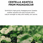 Skin1004 Madagascar Centella Tone Brightening Capsule Ampoule - Miniatura 6