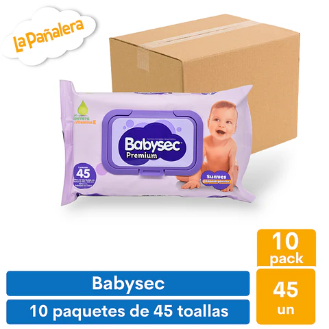 Caja Toallas Húmedas Babysec Con Tapa 45u x 10