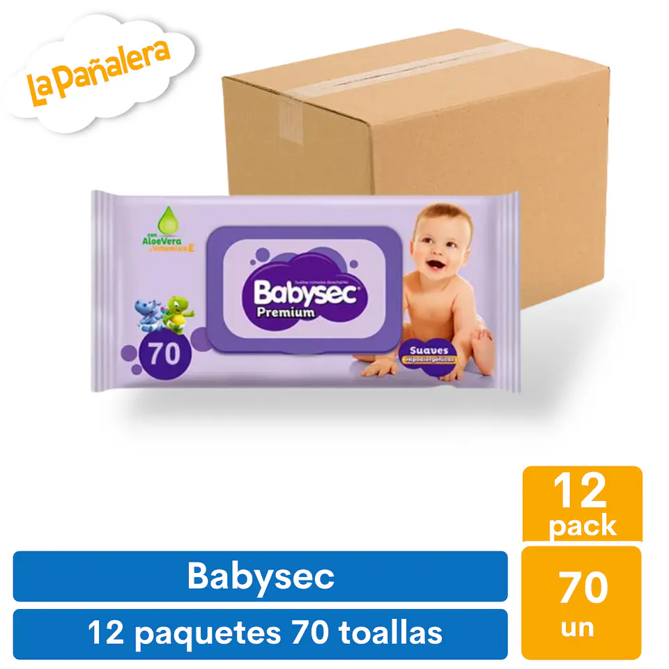 Caja Toallas Húmedas Babysec Con Tapa 70u x 12 1