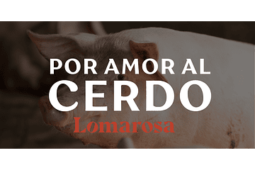 Por amor al cerdo