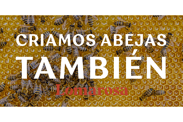 Criamos abejas para preservar la biodiversidad de la Orinoquía colombiana