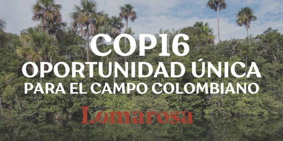 COP16 POR LA BIODIVERSIDAD – UNA OPORTUNIDAD ÚNICA PARA EL CAMPO COLOMBIANO