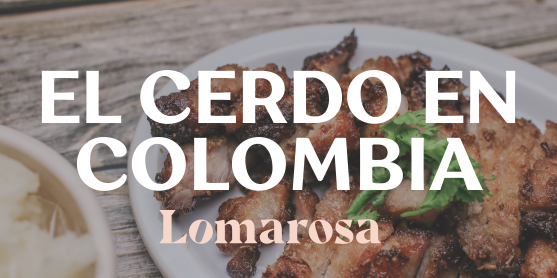 EL CERDO EN COLOMBIA - LOMAROSA