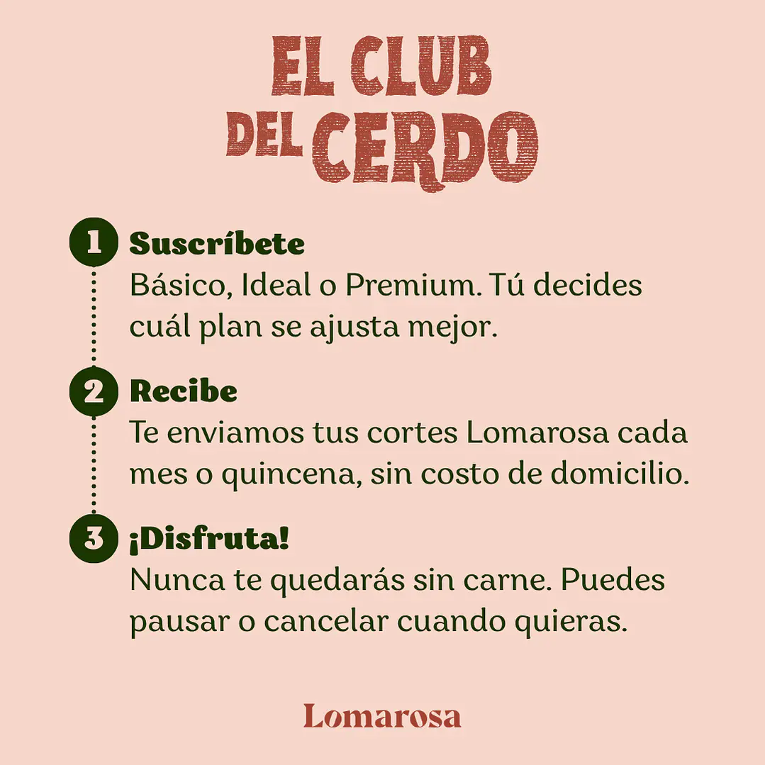 Plan Básico 4