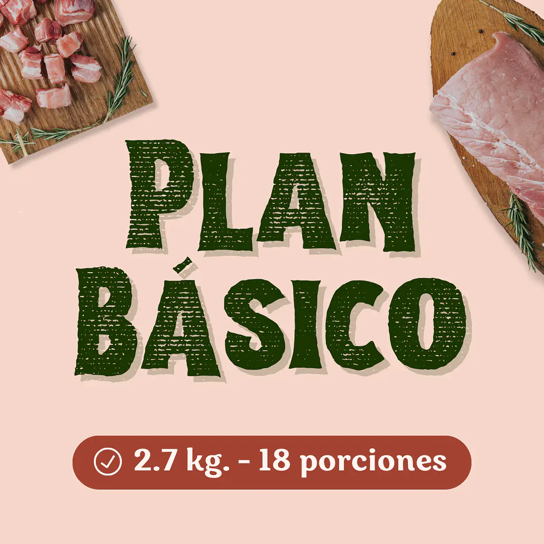 Plan Básico 1