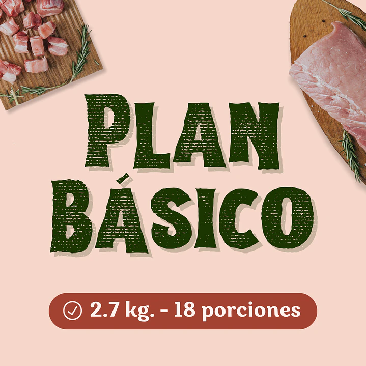 Plan Básico 1
