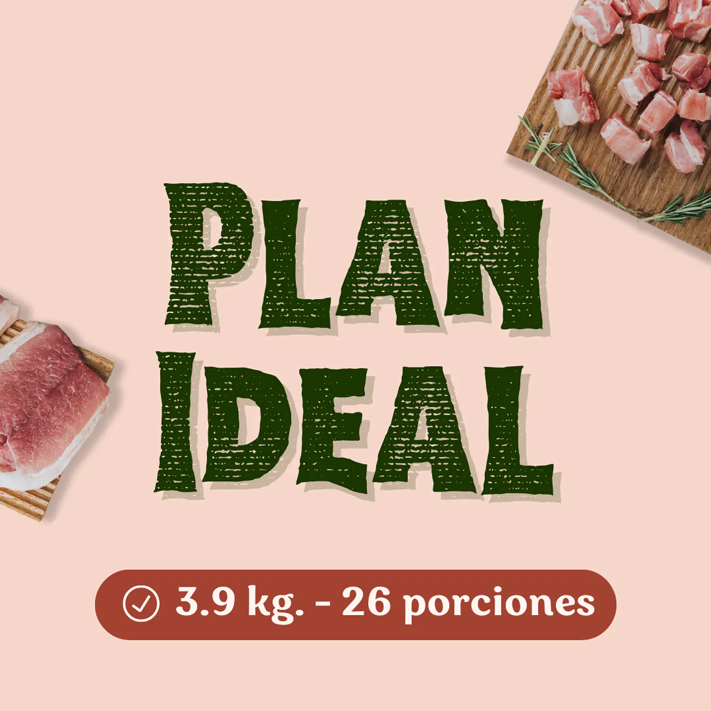 Plan Ideal 1