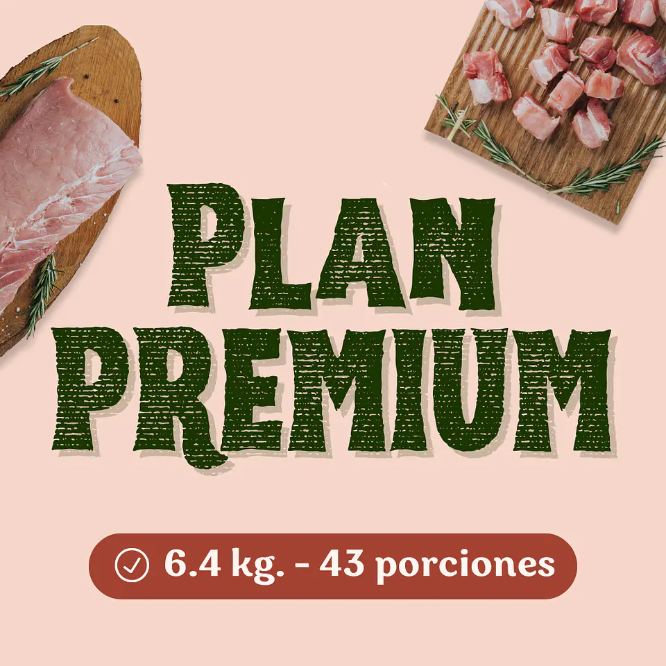 Plan Premium 1