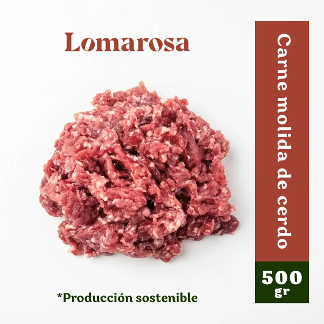 Carne molida de cerdo x 500gr 2