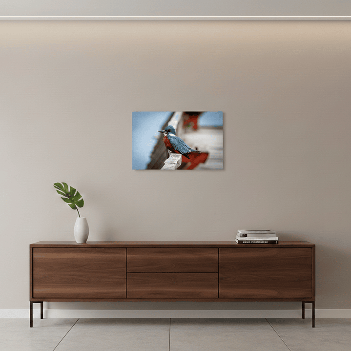 Canva Martin Pescador 2