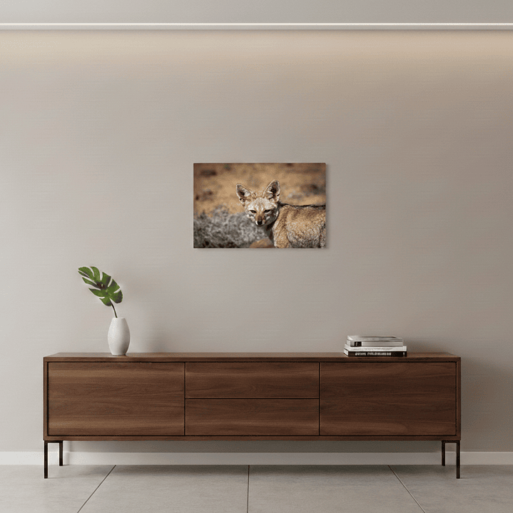 Canva Zorro Chilla 2