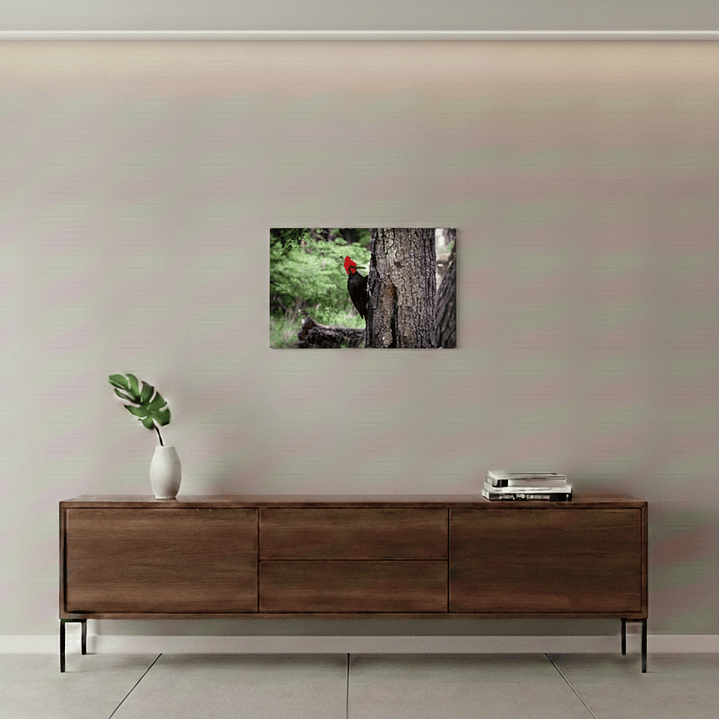 Canva Carpintero Negro 2