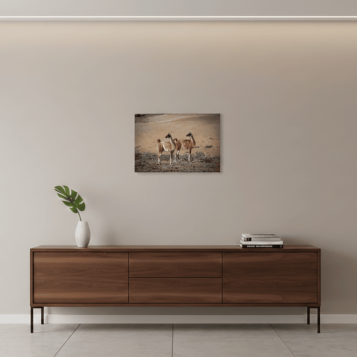 Canva Guanacos 2