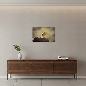 Canva Chirihue Dorado