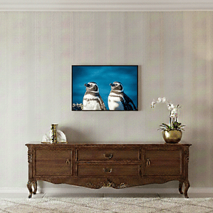 Cuadro Pingüino Magallanes