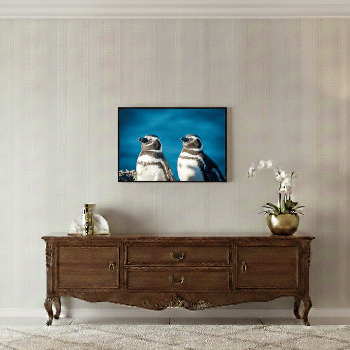 Cuadro Pingüino Magallanes 1