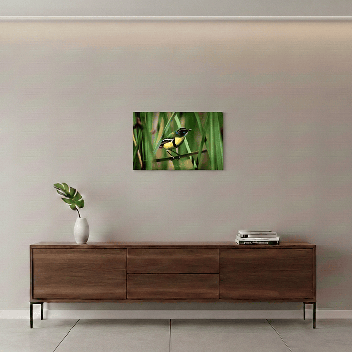 Canva Siete Colores 1