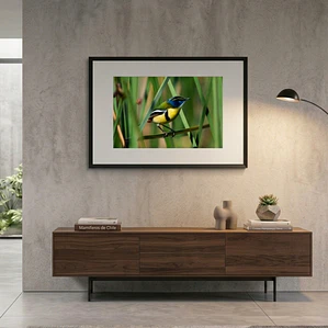 Cuadro Decorativo 50 x 70 cm Siete Colores Impresión Fine Art