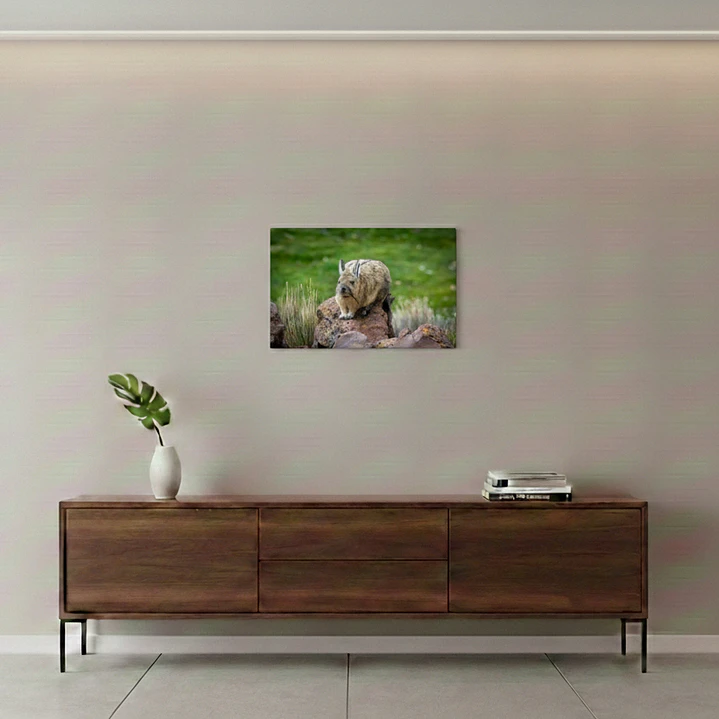Canva Vizcacha Impresión Fine Art 27 x 40 cm 1
