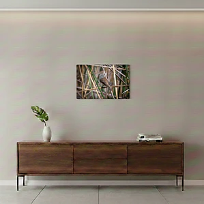 Canva Viudita Impresión Fine Art 27 x 40 cm