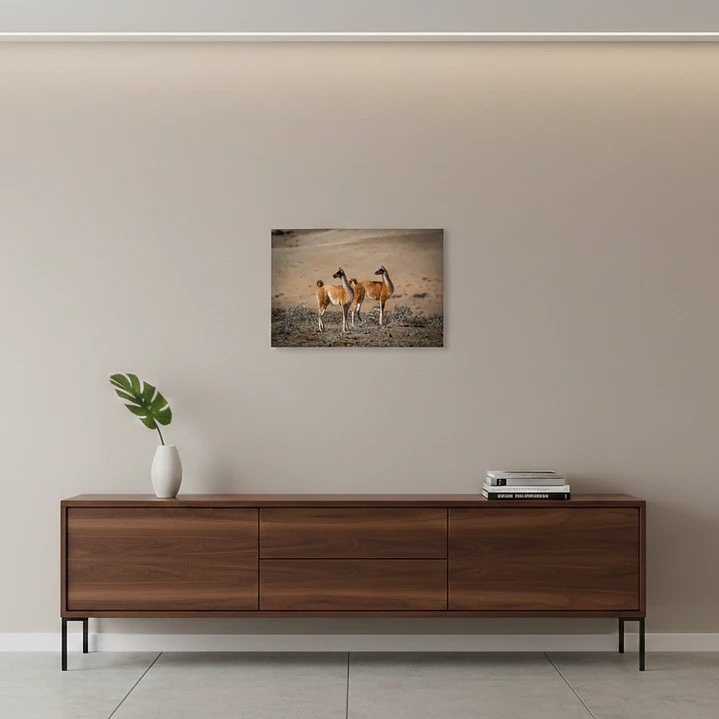Canva Guanaco Impresión Fine Art 27 x 40 cm 2