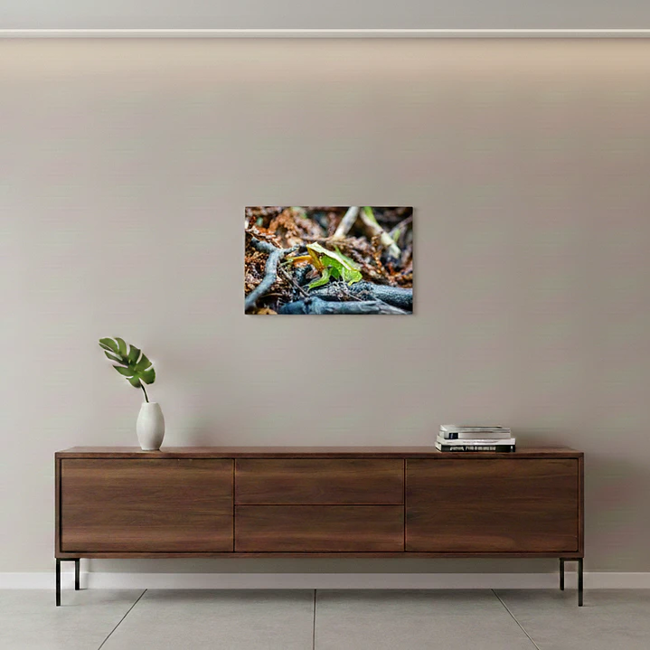 Canva Ranita de Darwin Impresión Fine Art 27 x 40 cm 2