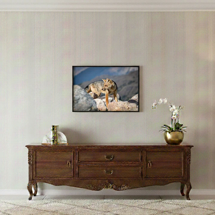Cuadro Decorativo Zorro Culpeo Impresión Fine Art 33 x 48 cm 1