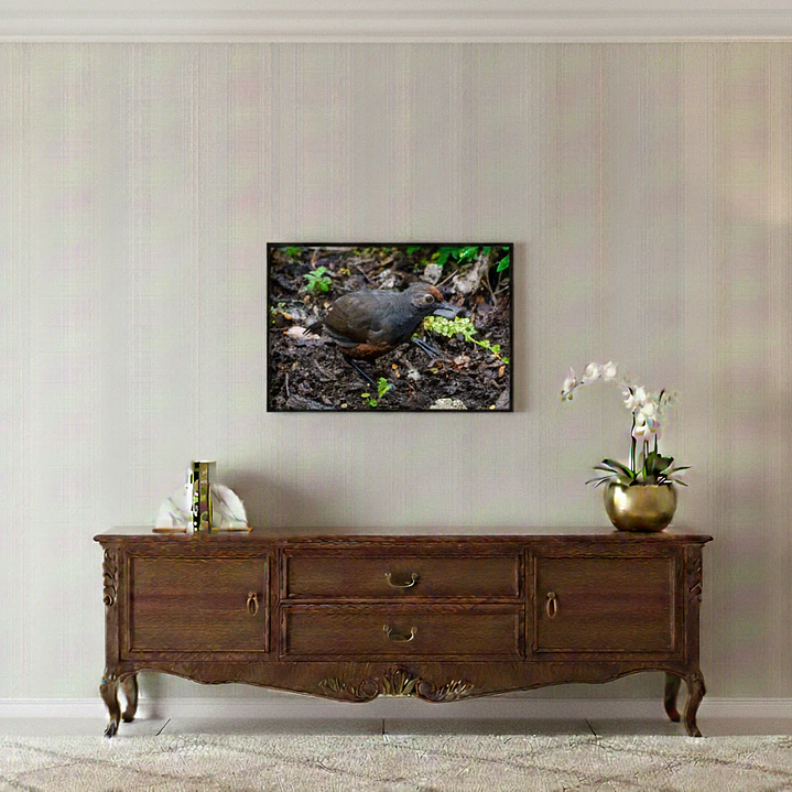 Cuadro Decorativo Hued Hued Impresión Fine Art 33 x 48 cm 1