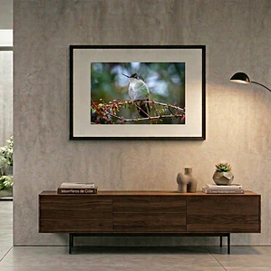 Cuadro Decorativo 50 x 70 cm Picaflor Chico Impresión Fine Art