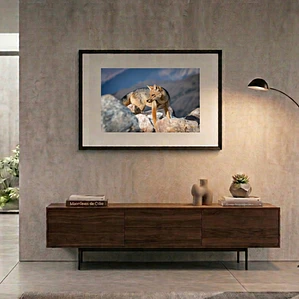 Cuadro Decorativo 50 x 70 cm Zorro Culpeo Impresión Fine Art