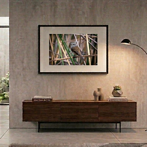 Cuadro Decorativo 50 x 70 cm Viudita Impresión Fine Art