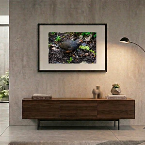 Cuadro Decorativo 50 x 70 cm Hued Hued Impresión Fine Art